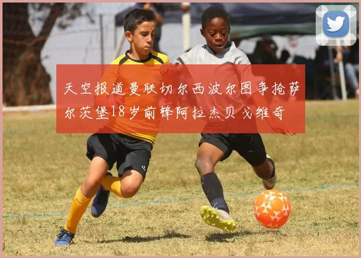 天空报道曼联切尔西波尔图争抢萨尔茨堡18岁前锋阿拉杰贝戈维奇