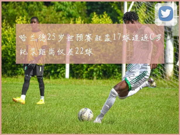哈兰德25岁世预赛狂轰17球追逐C罗纪录距离仅差22球